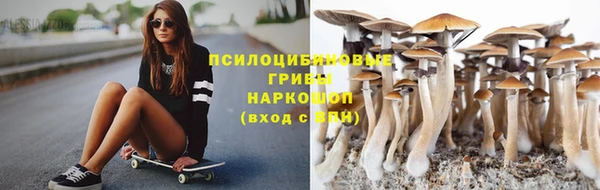 первитин Михайлов