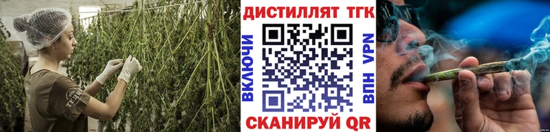 ТГК THC oil  Суджа 